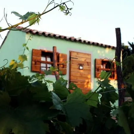 Glamping Green Istria Tiny Houses Truske Exterior photo