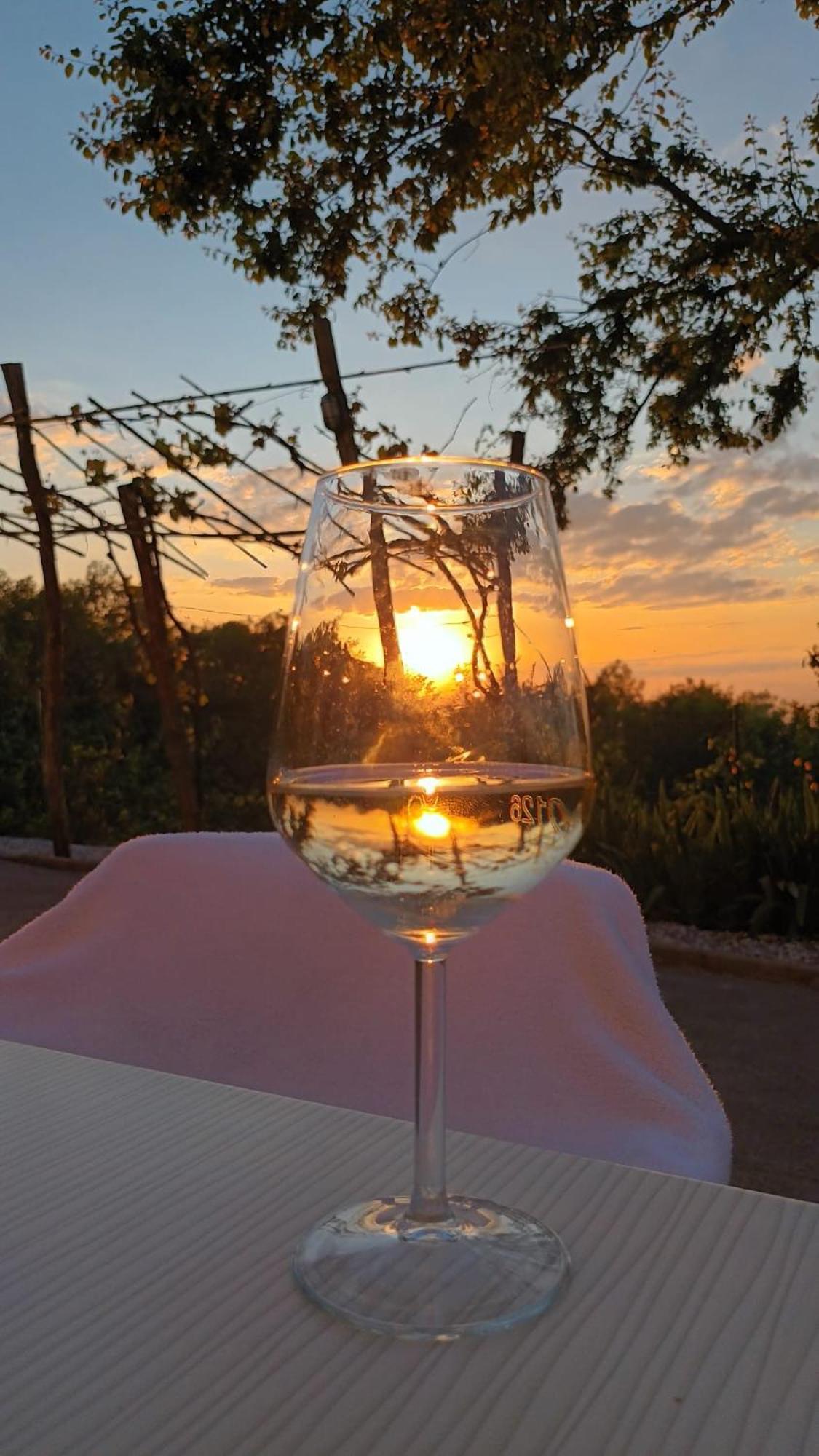 Alpesi faház Glamping Istria Tiny *