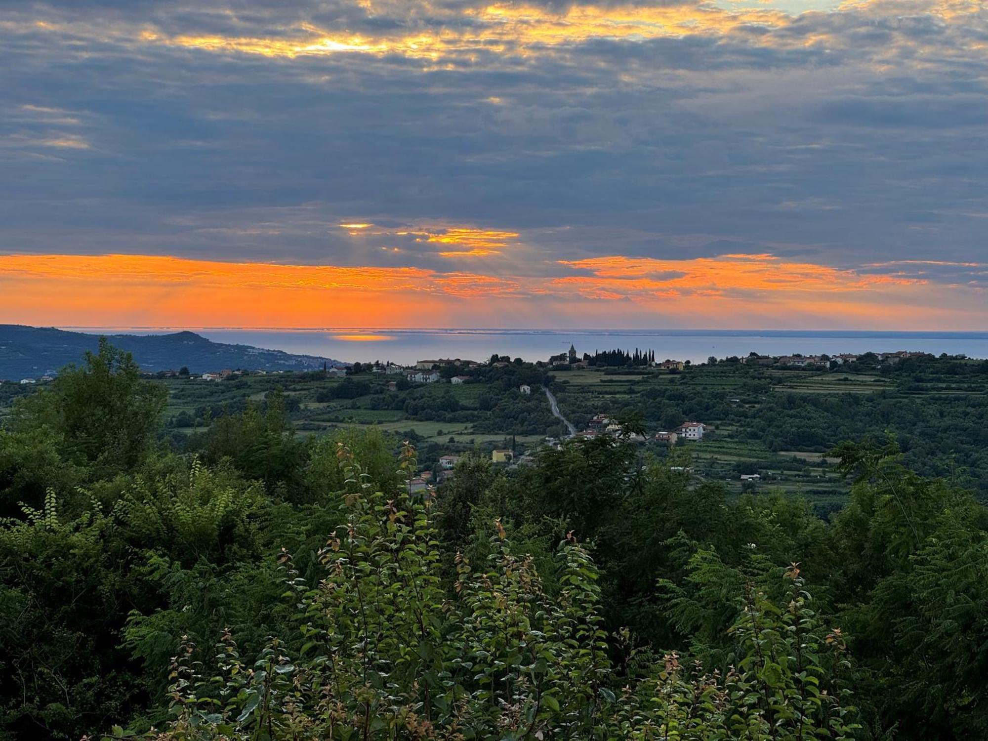 Glamping Istria Tiny Chalet
