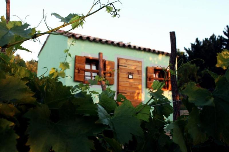 Glamping Istria Tiny Truske