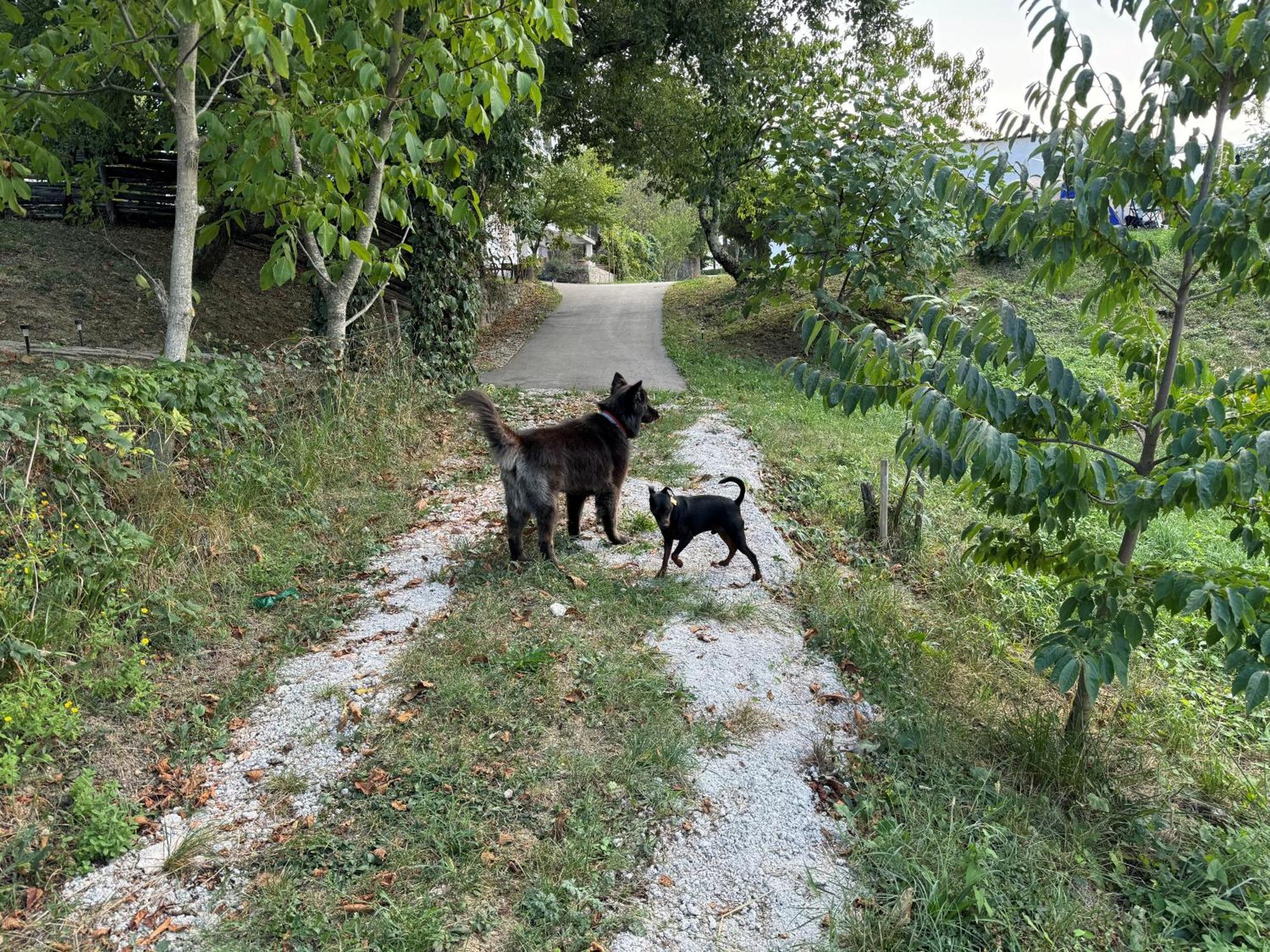 Chalet Glamping Istria Tiny Truske