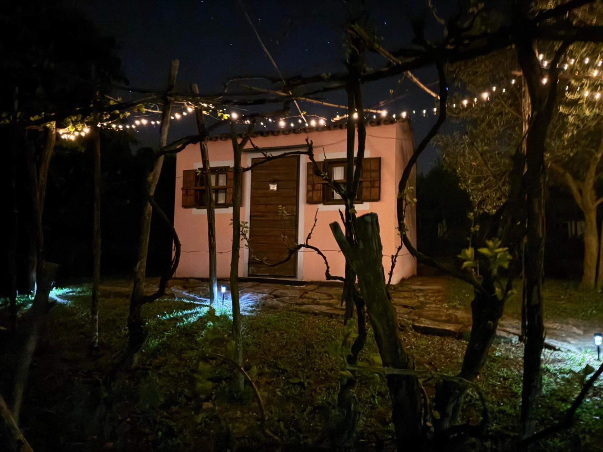 Glamping Istria Tiny Chalet Truške