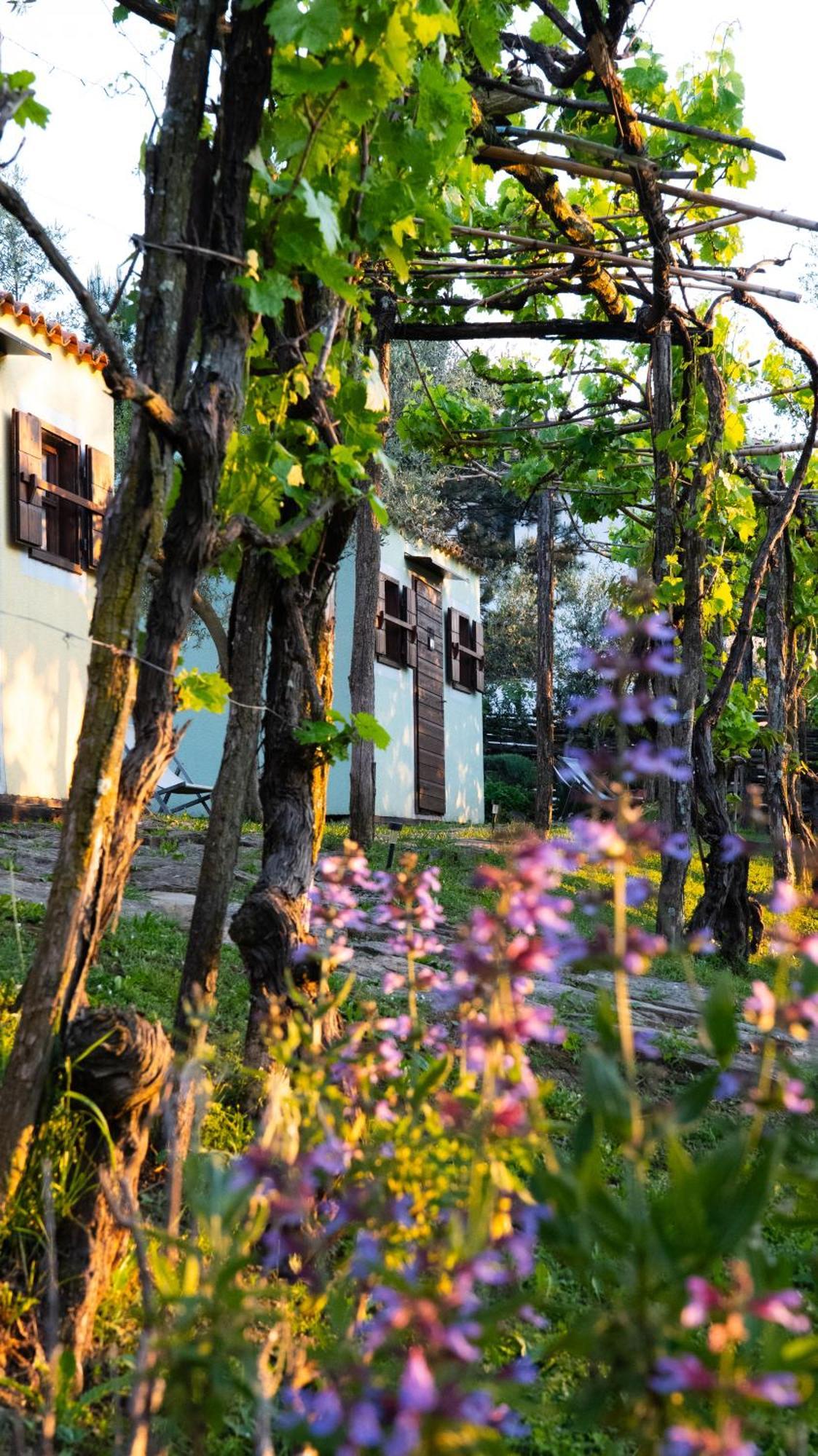 Glamping Istria Tiny Chalet *