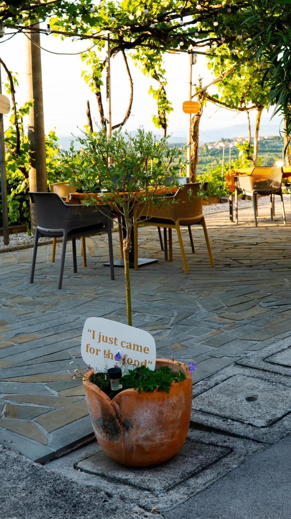 Chalet Glamping Istria Tiny *