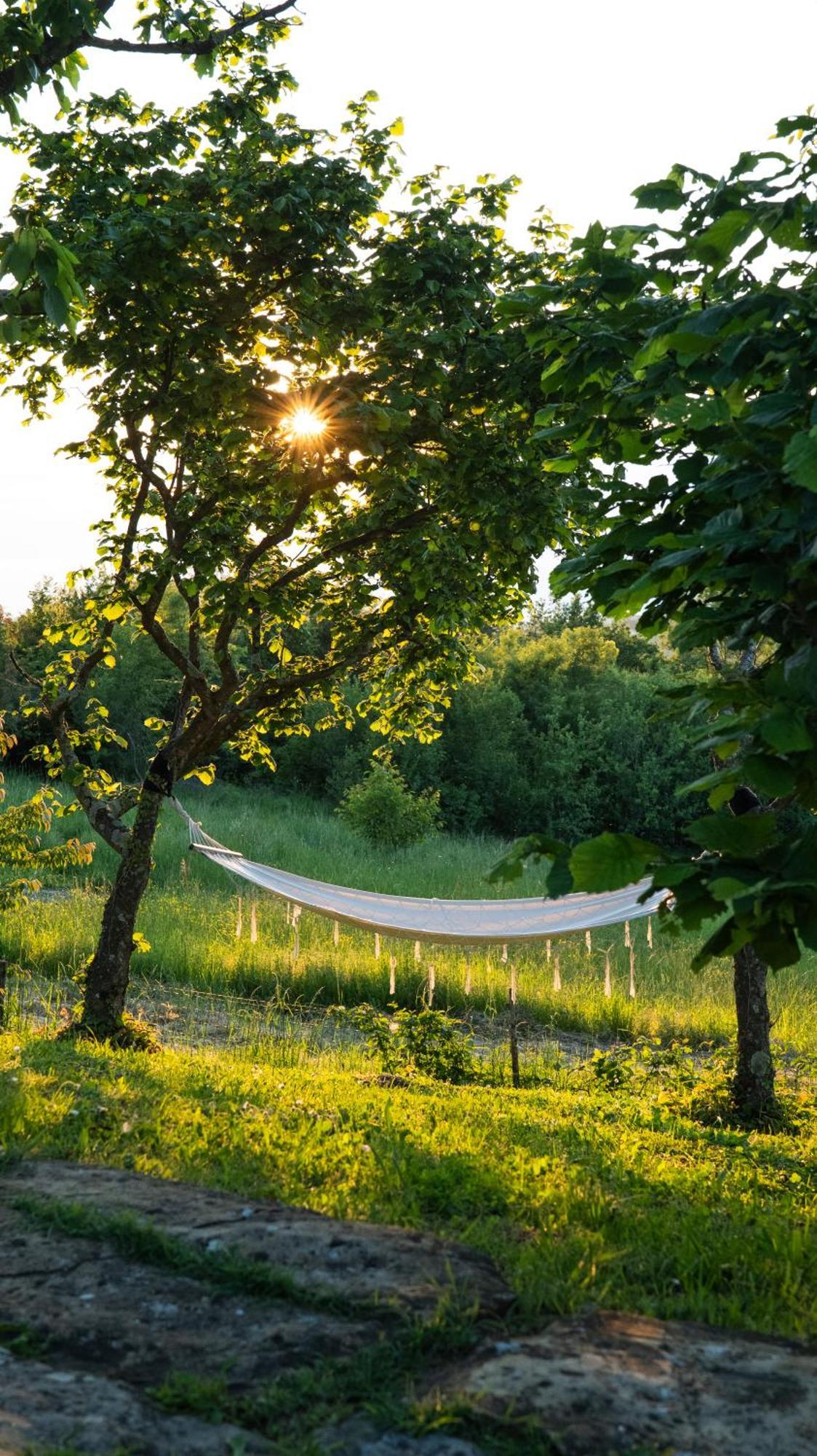 Glamping Istria Tiny * Truške