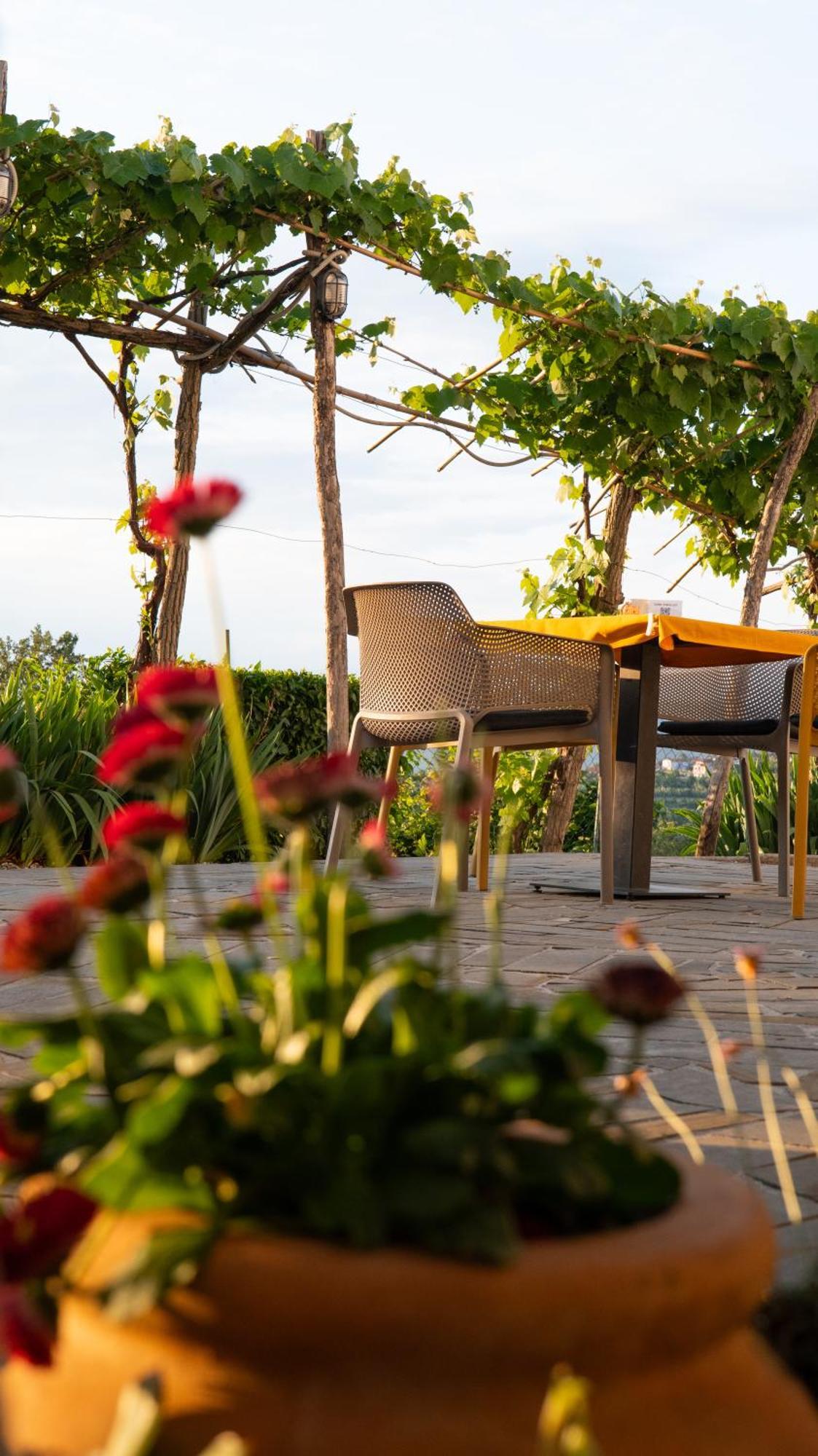 Glamping Istria Tiny Chalet