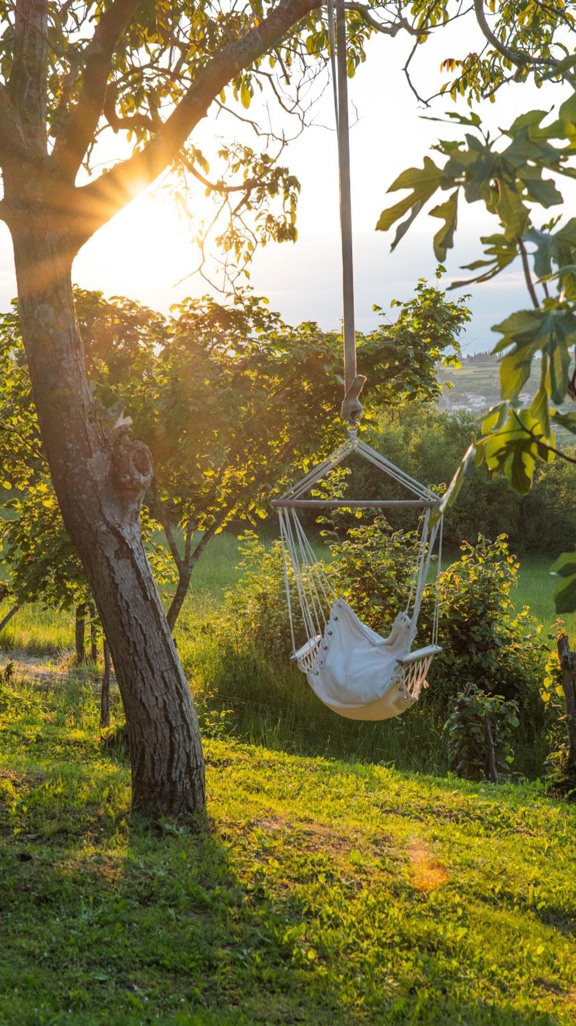 Glamping Istria Tiny Chalet Truške