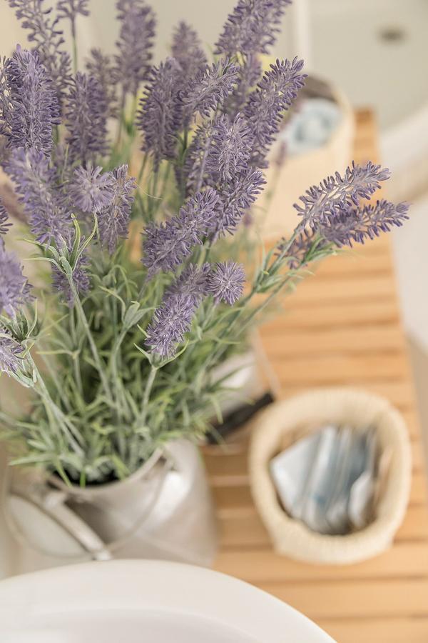 Glamping Istria Tiny