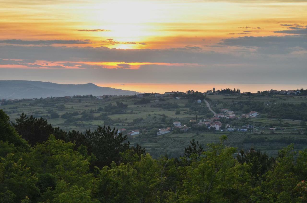 Chalet Glamping Istria Tiny